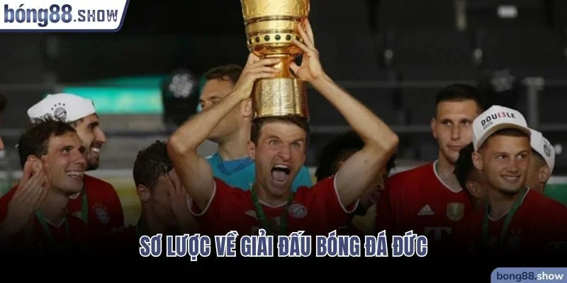 Sơ lược về giải đấu bóng đá Đức